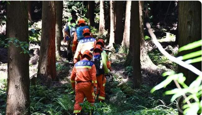 除險清患 ，防患未“燃”| 應急撲火力量進入臨戰狀態