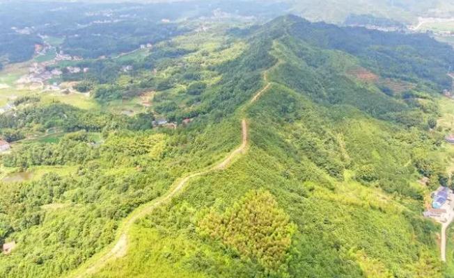 長沙兩年內將完成1150公里林火阻隔系統建設